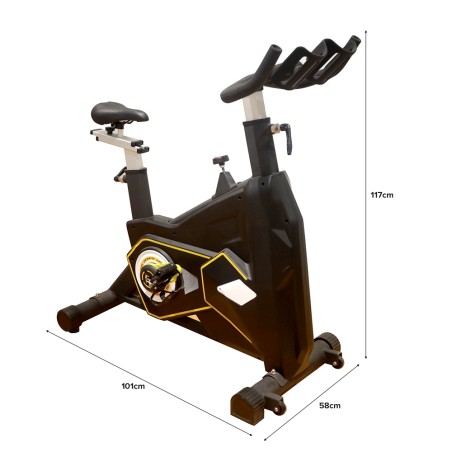 (AS-IS) FORTIS Spin Bike