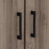 DUBLIN Low Wardrobe with 2 Doors - JIJI.SG