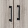 DUBLIN Low Wardrobe with 2 Doors - JIJI.SG