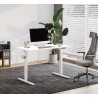 FLEXISPOT ESSENTIAL Height Adjustable Standing Desk - JIJI.SG
