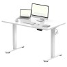 FLEXISPOT ESSENTIAL Height Adjustable Standing Desk - JIJI.SG