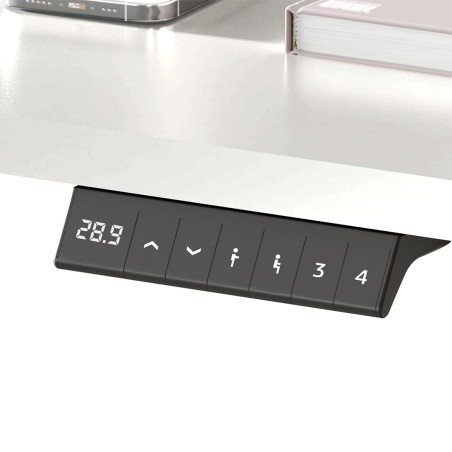 FLEXISPOT ESSENTIAL Standing Desk