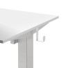 FLEXISPOT ESSENTIAL Height Adjustable Standing Desk - JIJI.SG