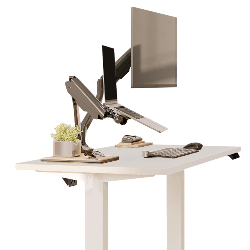 FLEXISPOT ESSENTIAL Height Adjustable Standing Desk - JIJI.SG