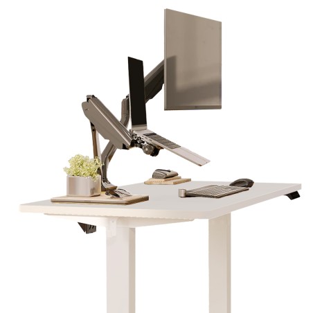 FLEXISPOT ESSENTIAL Standing Desk