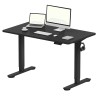 FLEXISPOT ESSENTIAL Height Adjustable Standing Desk - JIJI.SG