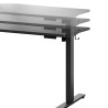 FLEXISPOT ESSENTIAL Height Adjustable Standing Desk - JIJI.SG