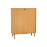 DUDLEY Multi-Functional Cabinet - JIJI.SG