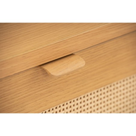 DUDLEY Multi-Functional Cabinet