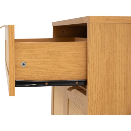 DUDLEY Multi-Functional Cabinet