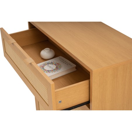 DUDLEY Multi-Functional Cabinet