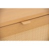 DUDLEY Coffee Table - JIJI.SG
