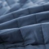 DREAMAX ELOV Weighted Blanket - JIJI.SG
