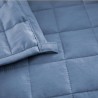 DREAMAX ELOV Weighted Blanket - JIJI.SG