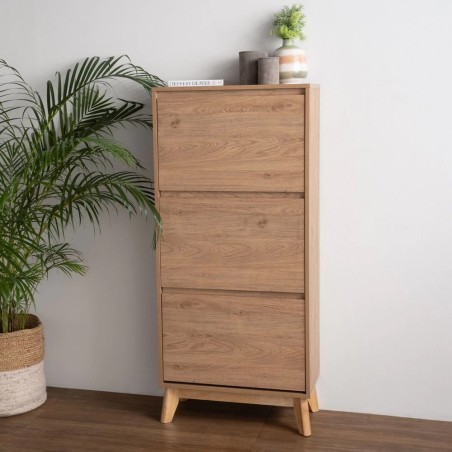 (AS-IS) DAKO Shoe Cabinet