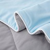 SANT Ice Silk Blanket - JIJI.SG