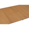 VERNER Extendable Dining Table - JIJI.SG