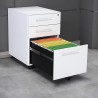 CLOVIS Mobile Pedestal - JIJI.SG