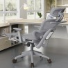 VISIONSWIPE SEAL Office Chair - JIJI.SG
