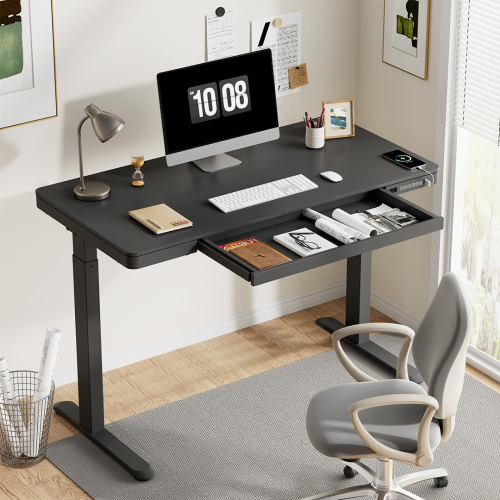 FLEXISPOT EW9 Height Adjustable Standing Desk