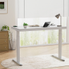 FLEXISPOT EW9 Height Adjustable Standing Desk - JIJI.SG