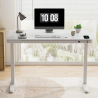 FLEXISPOT EW9 Height Adjustable Standing Desk - JIJI.SG