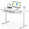FLEXISPOT EW9 Height Adjustable Standing Desk - JIJI.SG