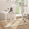 FLEXISPOT EW9 Height Adjustable Standing Desk - JIJI.SG