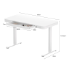 FLEXISPOT EW9 Height Adjustable Standing Desk - JIJI.SG