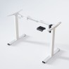 FLEXISPOT E2 Pro Height Adjustable Standing Desk - JIJI.SG