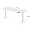 FLEXISPOT E2 Pro Height Adjustable Standing Desk - JIJI.SG