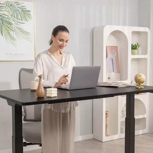 FLEXISPOT E2 Pro Height Adjustable Standing Desk