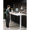 FLEXISPOT E2 Pro Height Adjustable Standing Desk - JIJI.SG