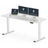 FLEXISPOT E2 Pro Height Adjustable Standing Desk - JIJI.SG