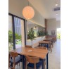 TRACY Dining Chair - JIJI.SG