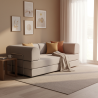 LARAINE Sofa Bed - JIJI.SG
