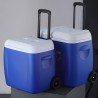 NILO Portable Cooler Ice Box - JIJI.SG