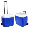 NILO Portable Cooler Ice Box - JIJI.SG