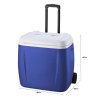 NILO Portable Cooler Ice Box - JIJI.SG