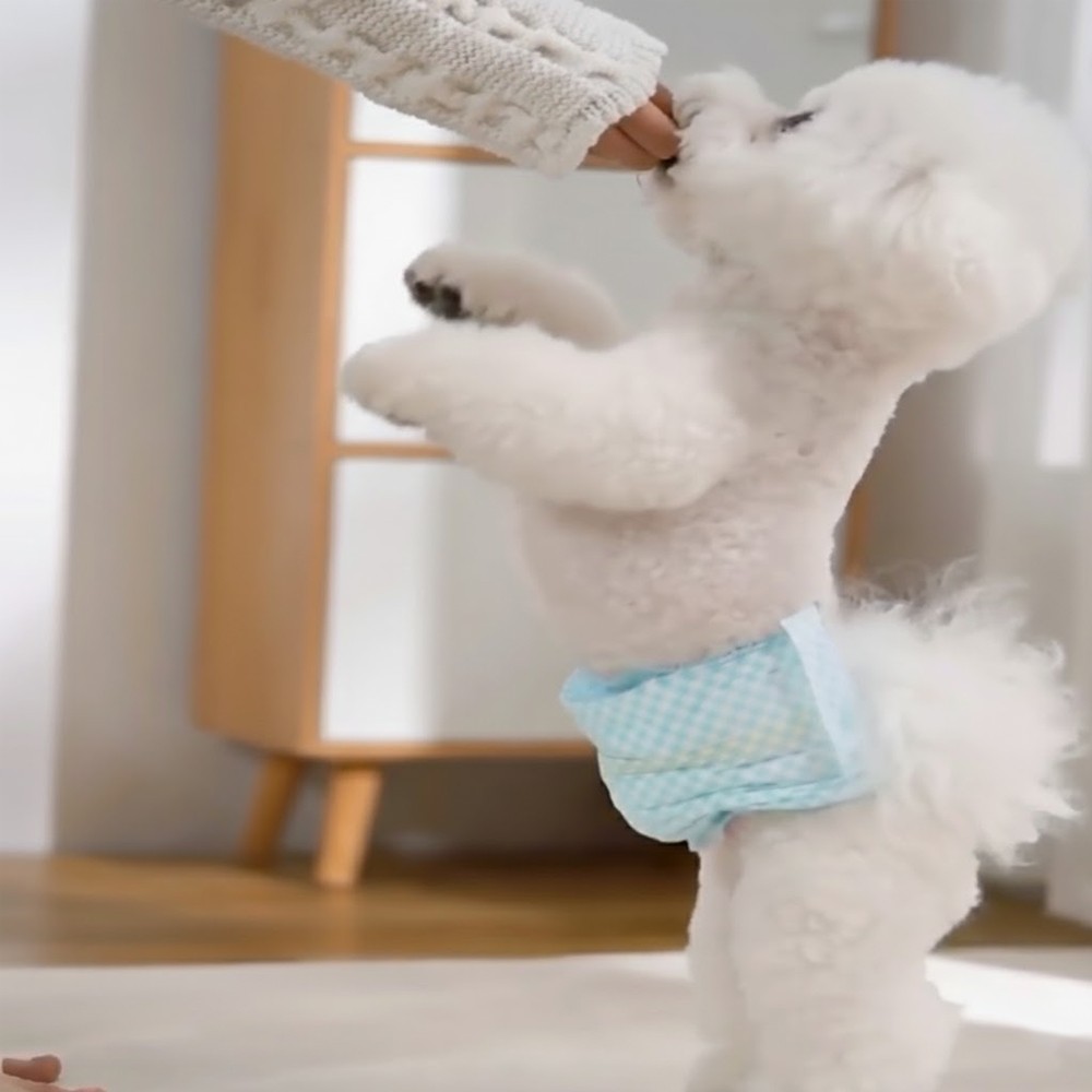 DONO PET Economical Disposable Diapers - JIJI.SG
