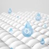 DONO PET Economical Disposable Diapers - JIJI.SG