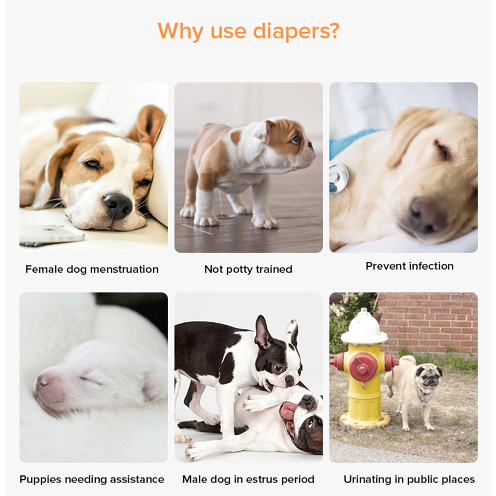 DONO PET Economical Disposable Diapers - JIJI.SG