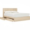 HARRING Wooden Bed Frame with Storage - JIJI.SG
