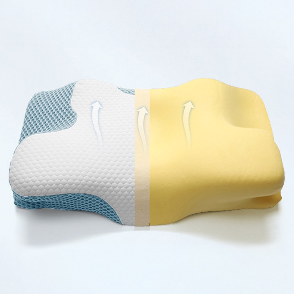 DREAMAX CERVIFLEX Memory Foam Pillow - JIJI.SG