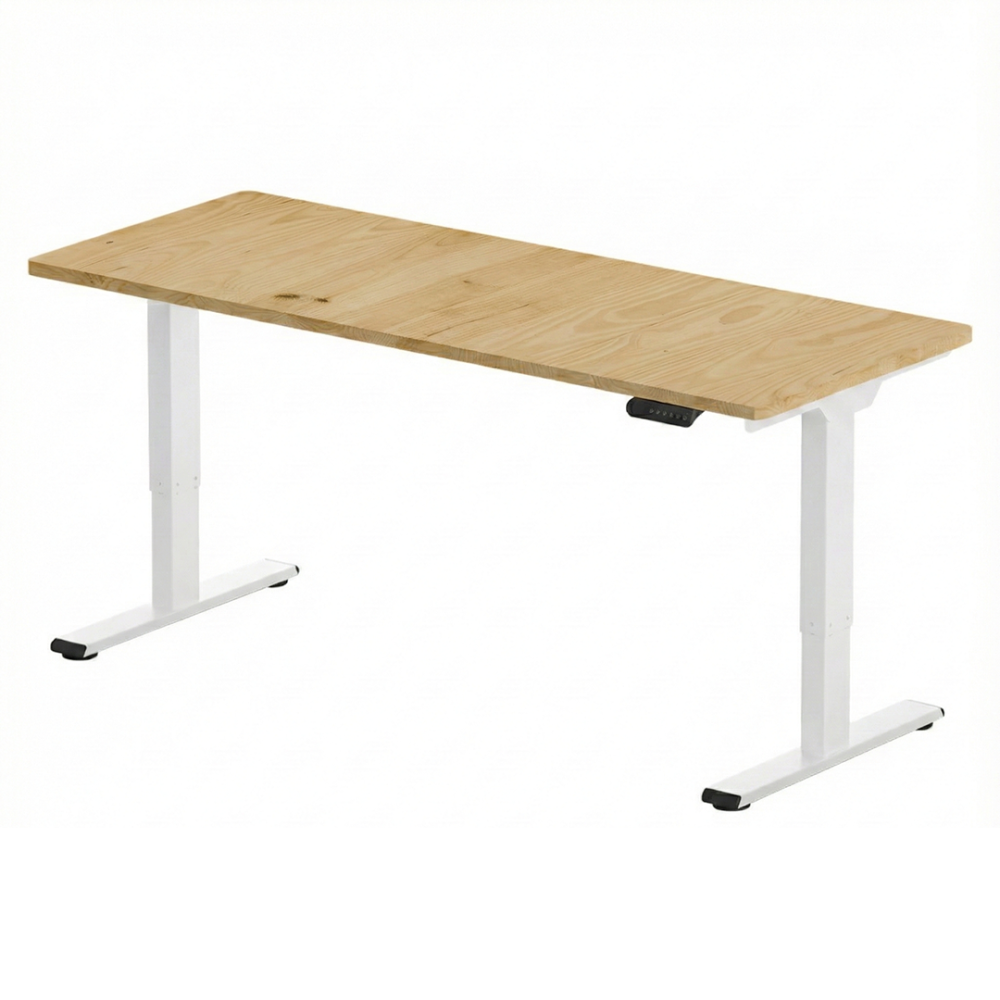 FLEXISPOT E2 Pro Height Adjustable Standing Desk - JIJI.SG