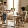 FLEXISPOT E2 Pro Height Adjustable Standing Desk - JIJI.SG