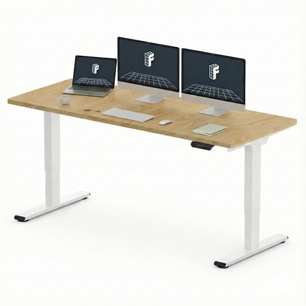 FLEXISPOT E2 Pro Height Adjustable Standing Desk - JIJI.SG