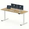 FLEXISPOT E2 Pro Height Adjustable Standing Desk - JIJI.SG