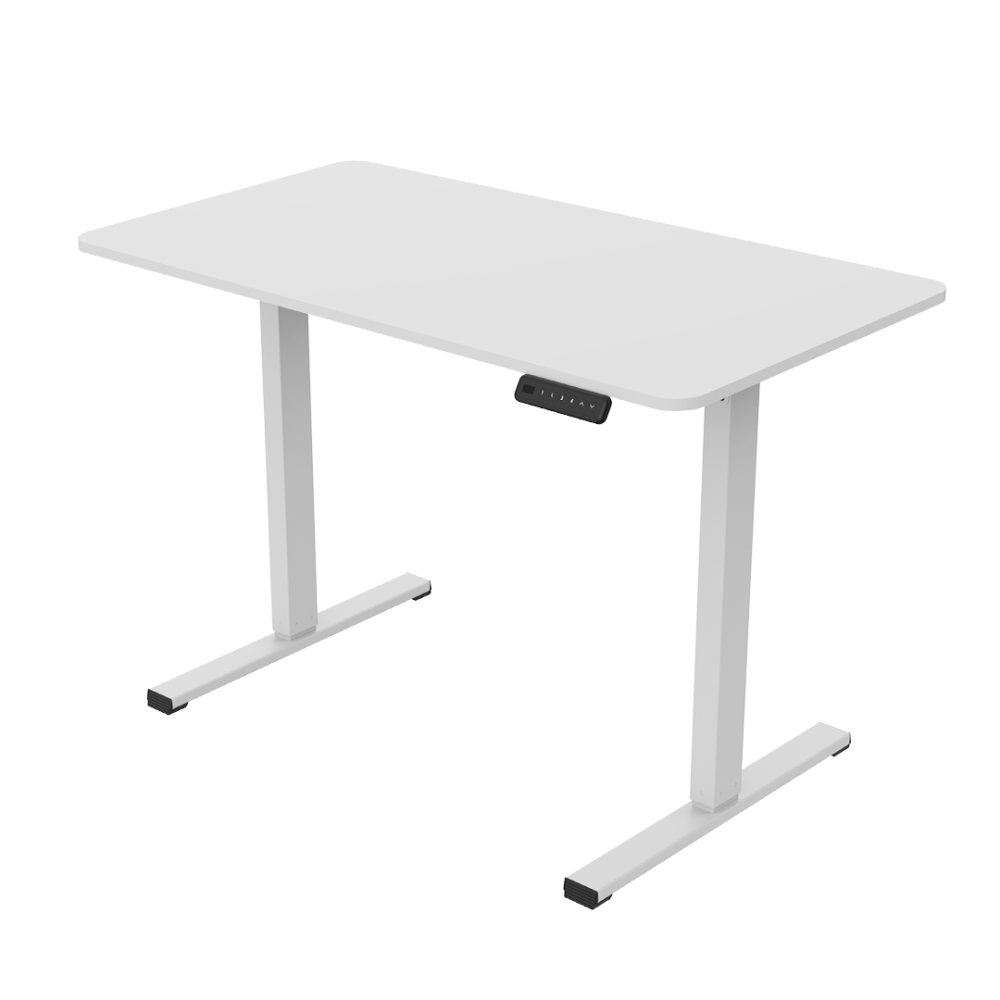 FLEXISPOT LITE Standing Desk - JIJI.SG