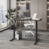FLEXISPOT LITE Standing Desk - JIJI.SG